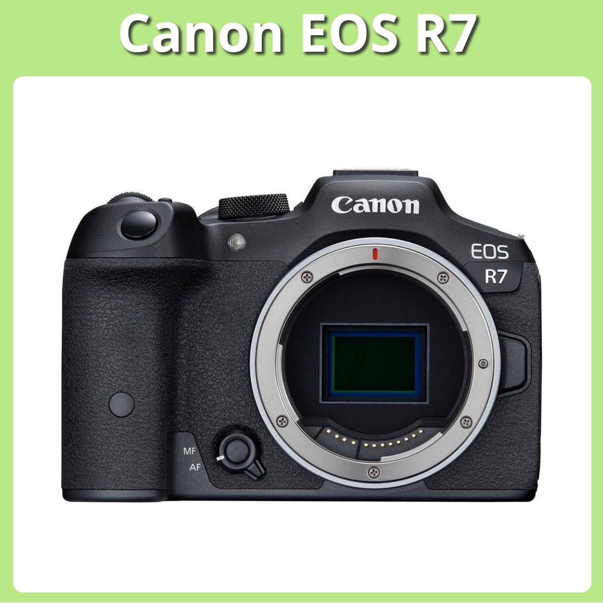 Anmeldelse af Canon EOS R7