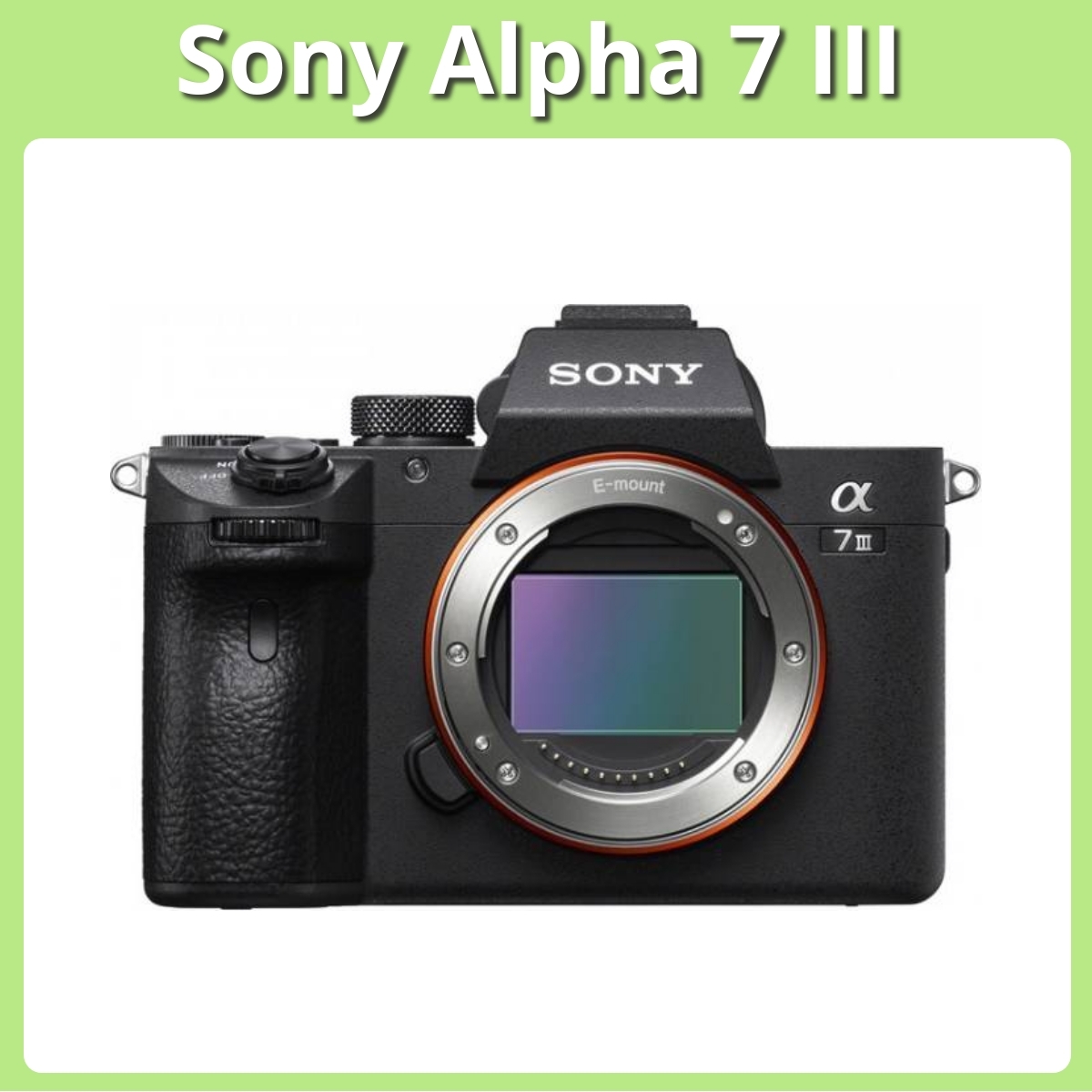 Anmeldelse af Sony Alpha 7 III