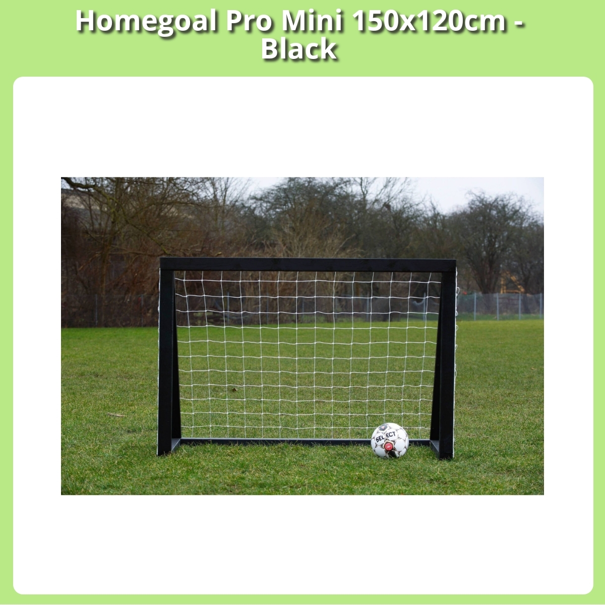 Anmeldelse af Homegoal Pro Mini 150x120cm - Black