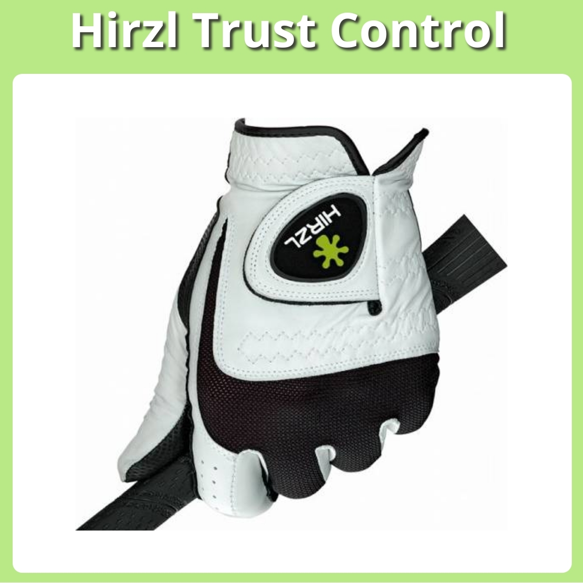 Anmeldelse af Hirzl Trust Control