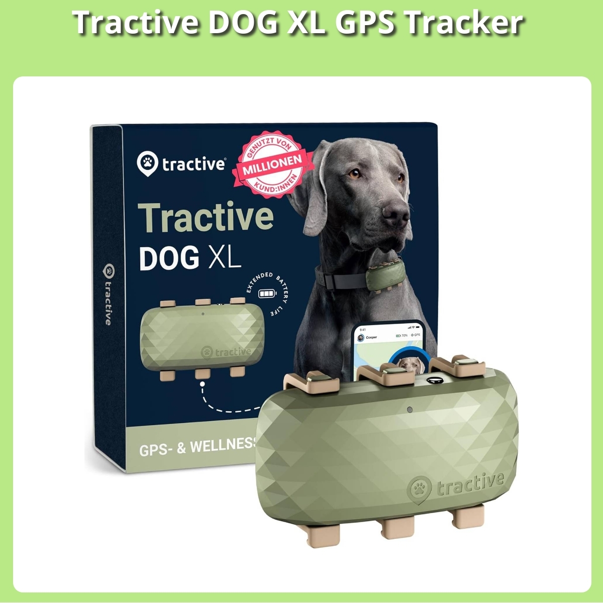Anmeldelse af Tractive DOG XL GPS Tracker
