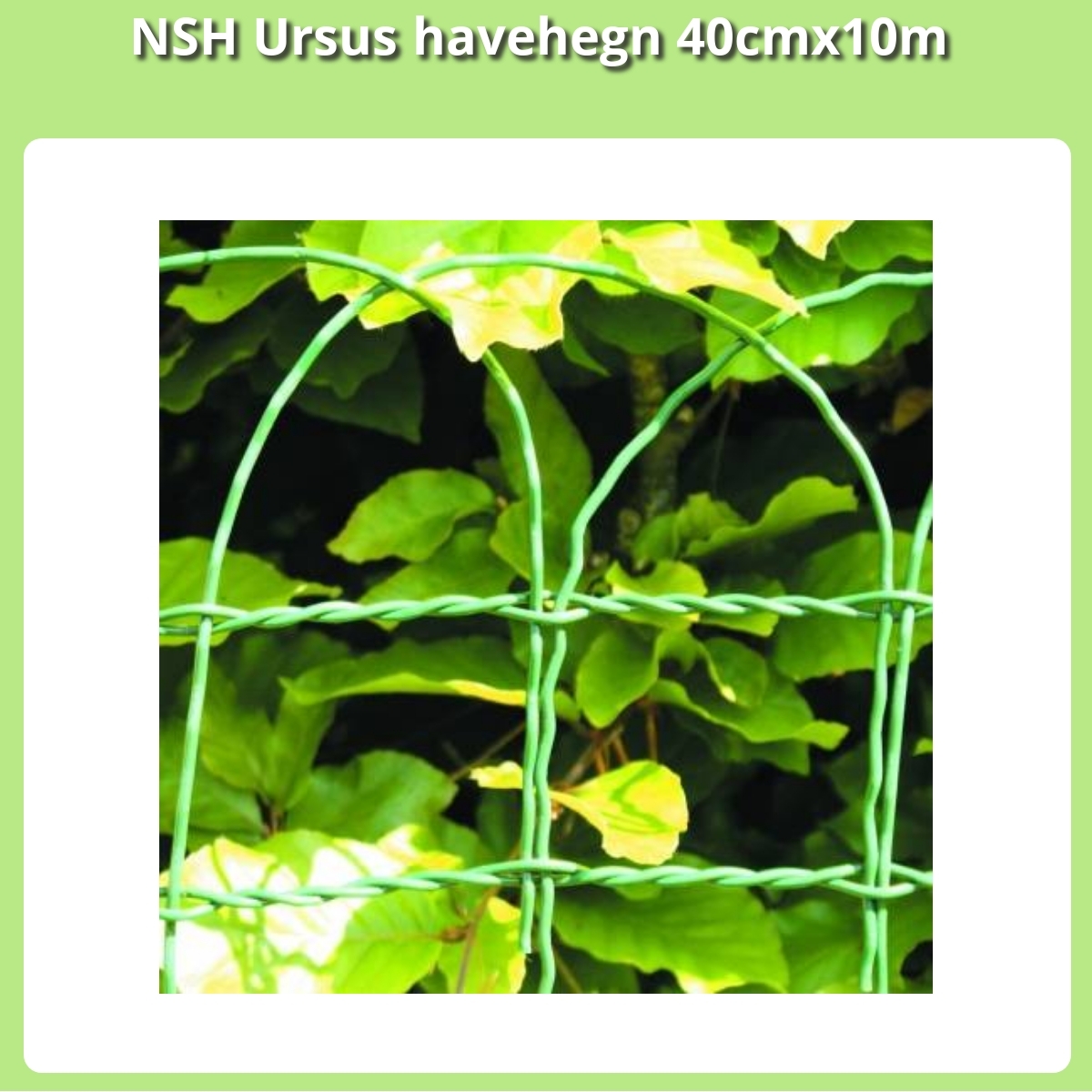 Anmeldelse af NSH Ursus havehegn 40cmx10m