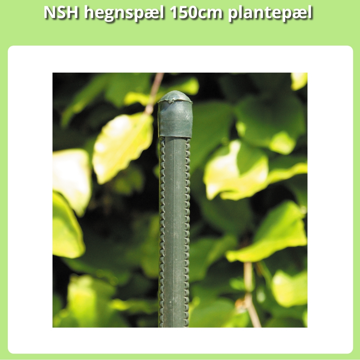 Anmeldelse af NSH hegnspæl 150cm plantepæl