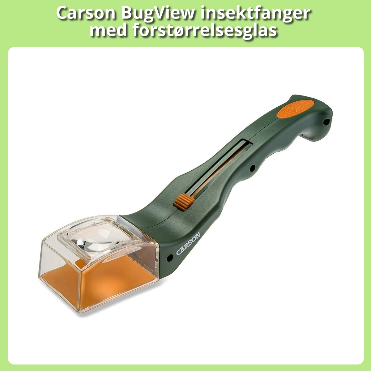 Anmeldelse af Carson BugView insektfanger med forstørrelsesglas