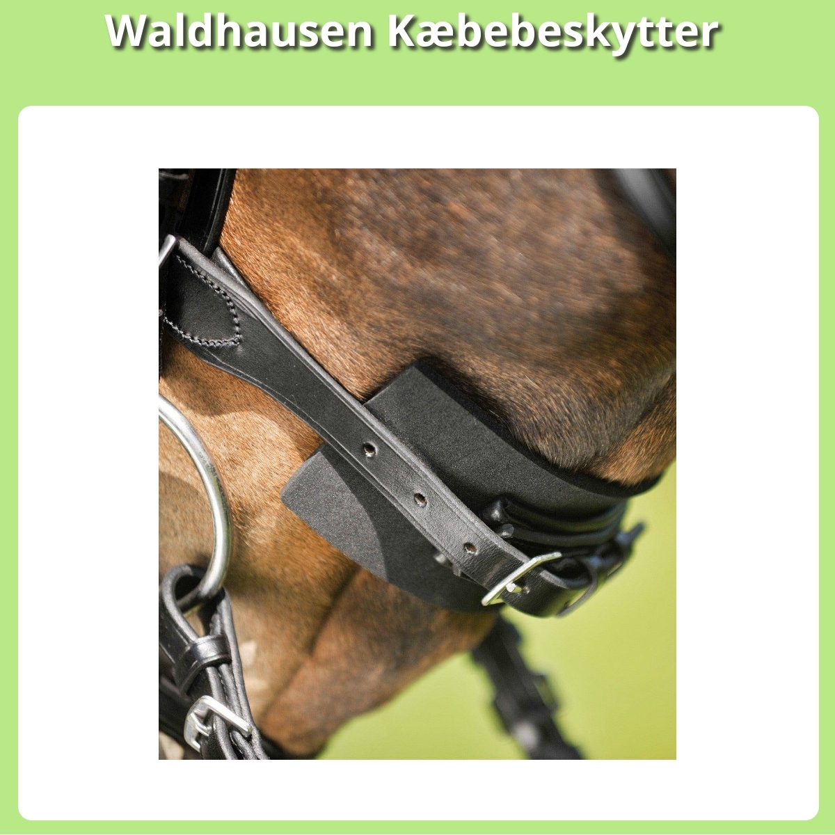 Anmeldelse af Waldhausen Kæbebeskytter
