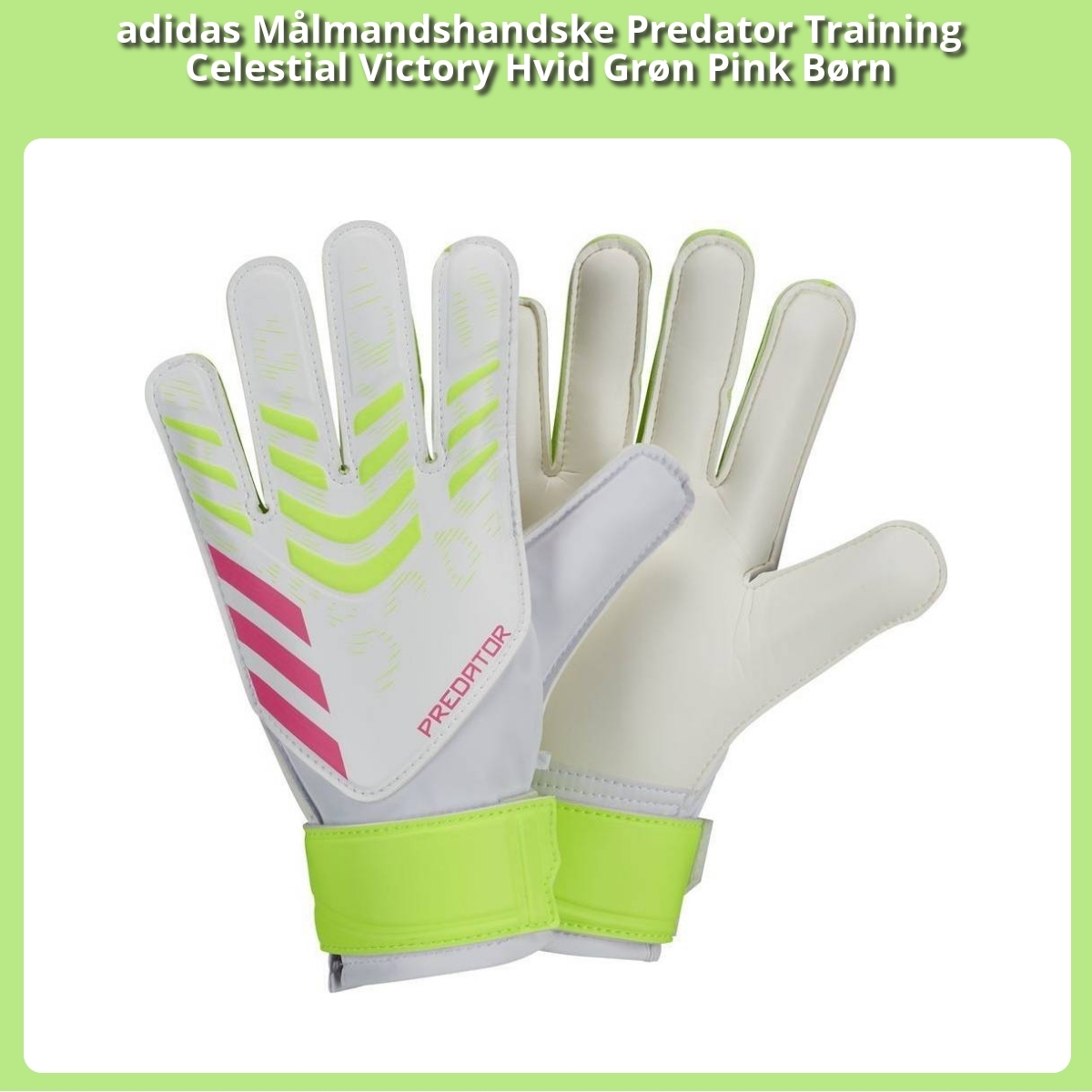 Anmeldelse af adidas Målmandshandske Predator Training Celestial Victory Hvid Grøn Pink Børn