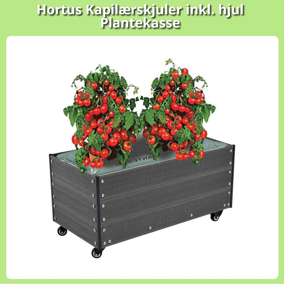 Anmeldelse af Hortus Kapilærskjuler inkl. hjul Plantekasse
