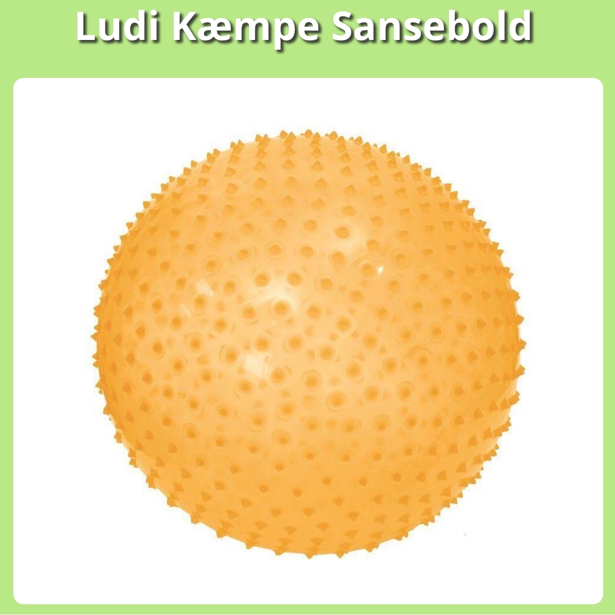 Anmeldelse af Ludi Kæmpe Sansebold