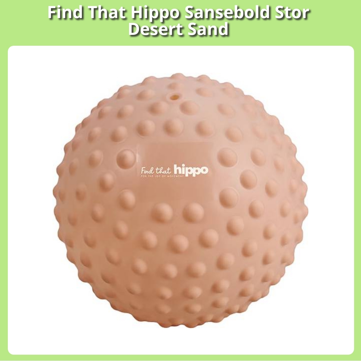 Anmeldelse af Find That Hippo Sansebold Stor Desert Sand