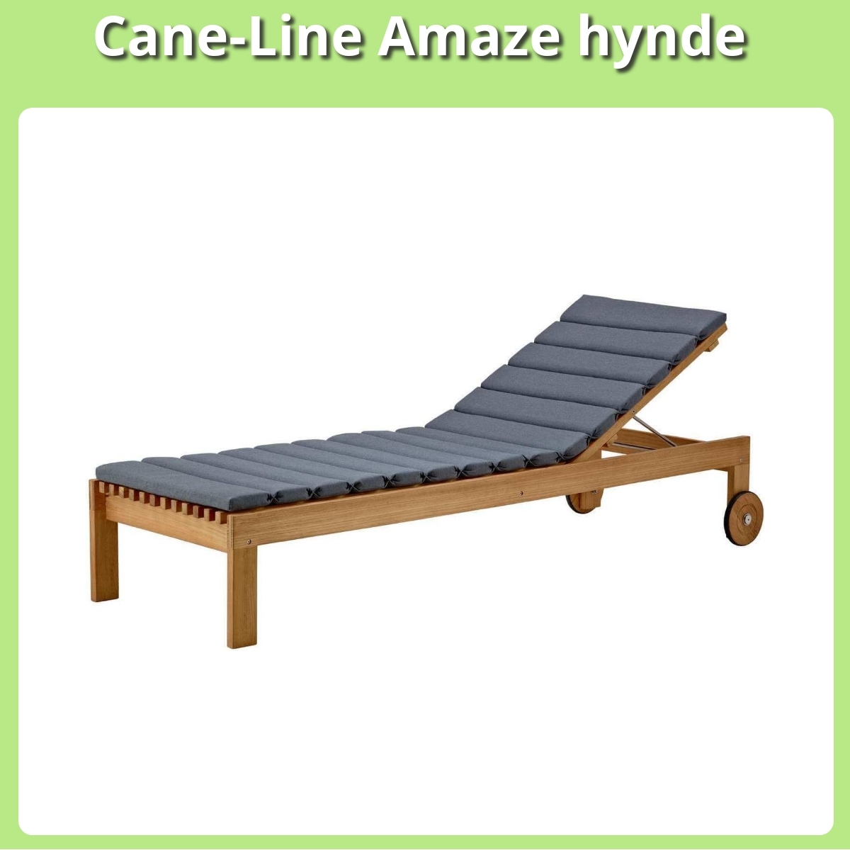 Anmeldelse af Cane-Line Amaze hynde