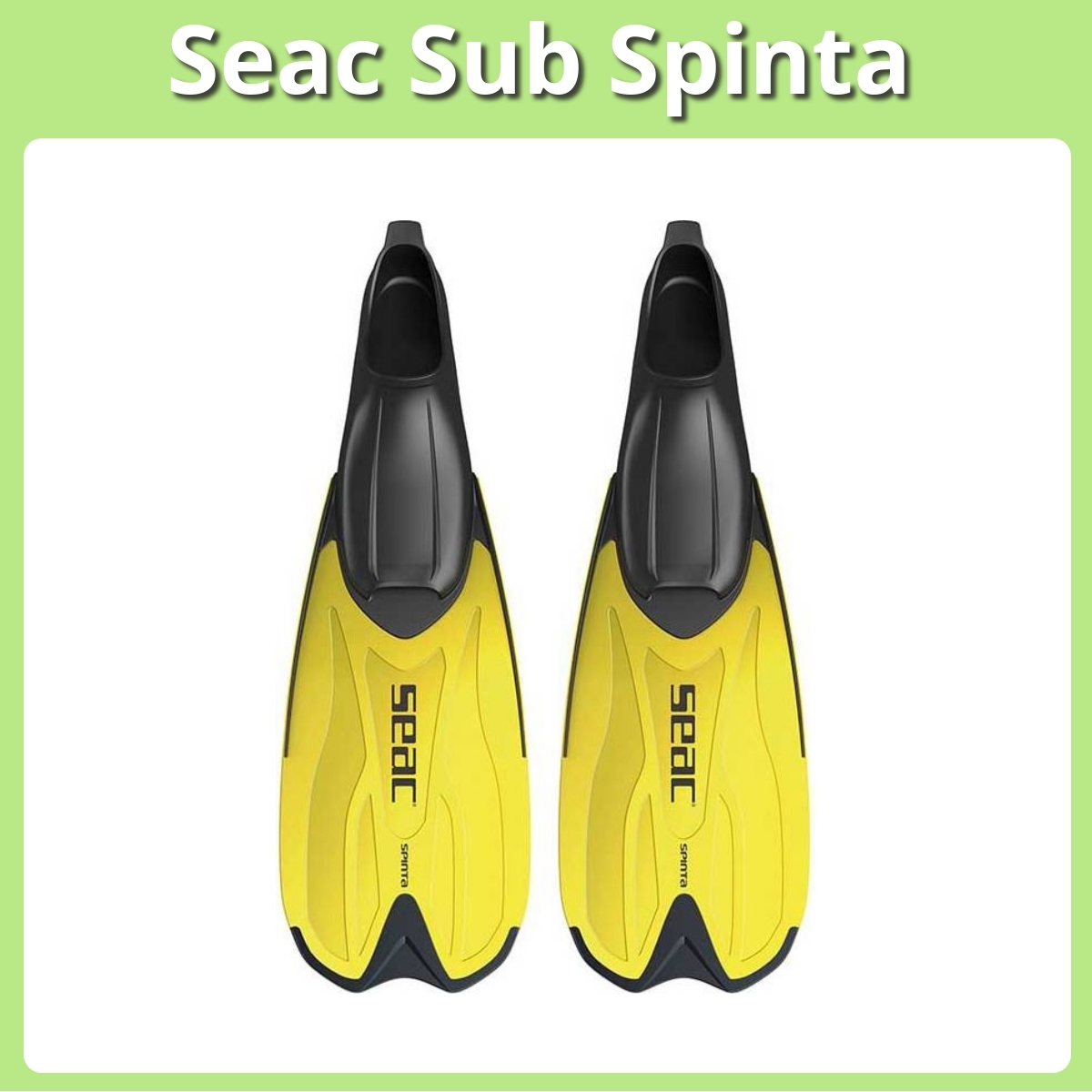 Anmeldelse af Seac Sub Spinta