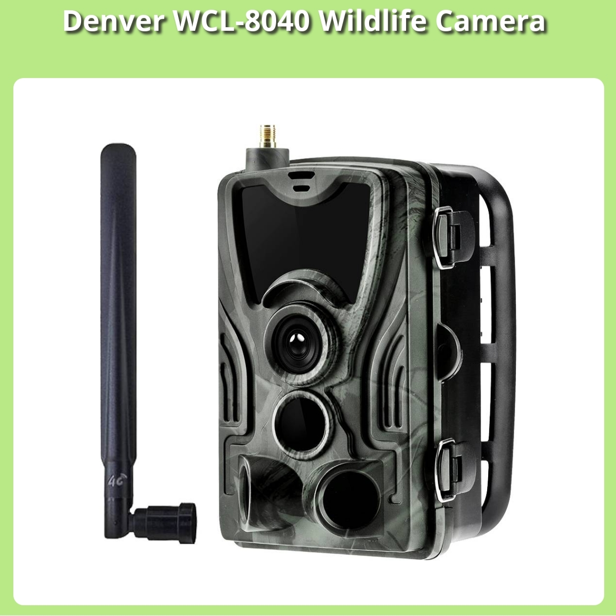 Anmeldelse af Denver WCL-8040 Wildlife Camera