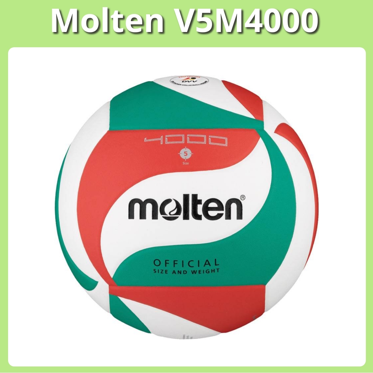 Anmeldelse af Molten V5M4000